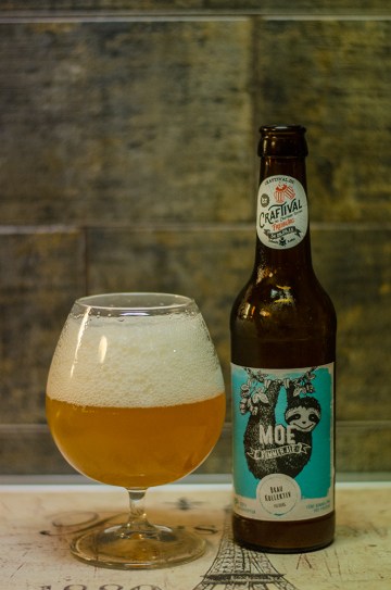 braukollektiv_moe_summer_ale