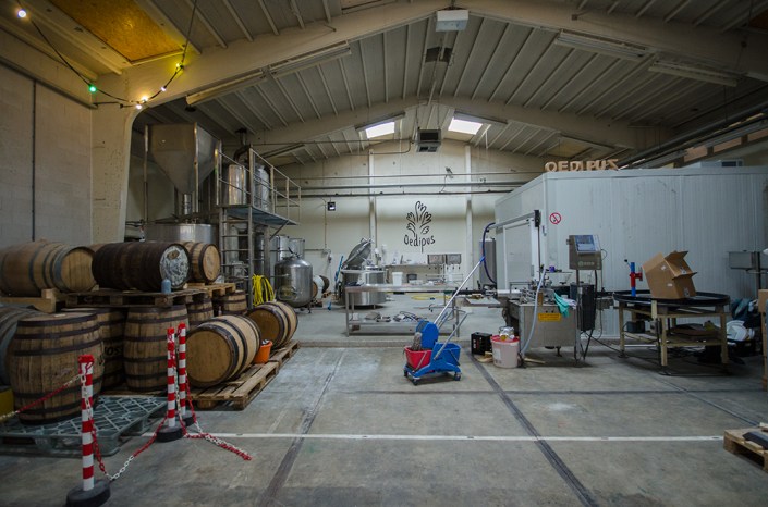 oedipus_brewery.jpg